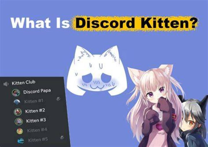Adorable Kitten Discord Servers: Find Your Purrfect Community!