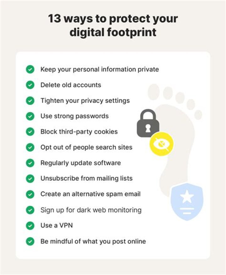Ari Falc&atilde;o Privacy: A Comprehensive Guide to Protecting Your Digital Footprint