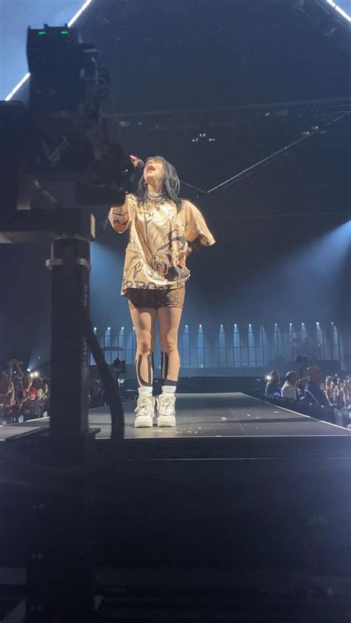 Billie Eilish Concert Outfit: Styling Highlights from "Happier Than Ever" Tour