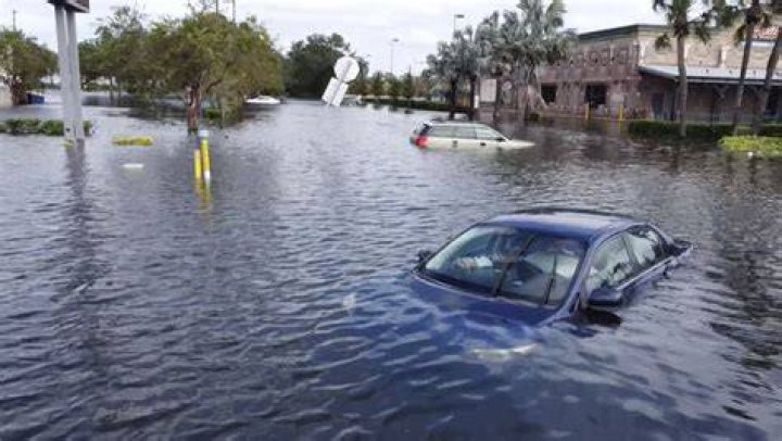 Brett Hampton Naples Florida: What Happened? Recent News & Updates