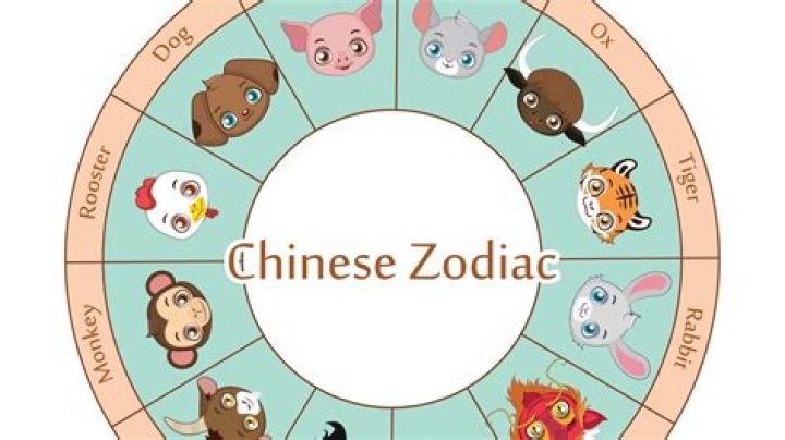 Chinese Year Born 1991: Insights, Zodiac Significance, and Cultural Impact