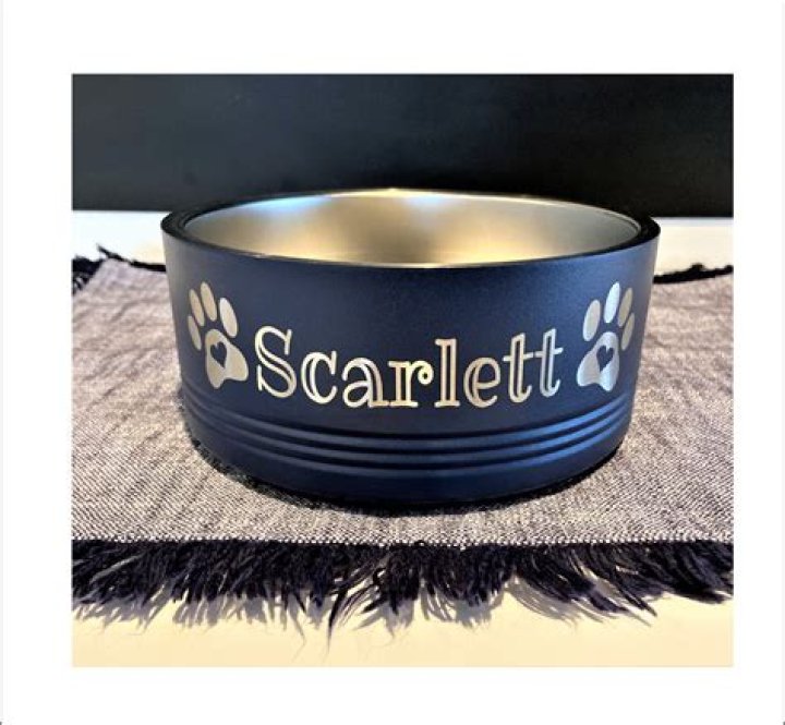 Color Me Mine Dog Bowl: A Complete Guide to Personalized Pet Bowls