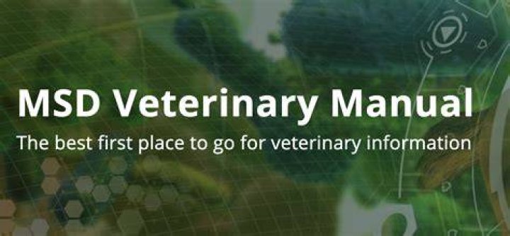 Cowmed Login: A Comprehensive Guide to Streamlining Your Veterinary Practice