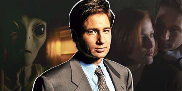 David Duchovny: Actor, Beyond the X-Files