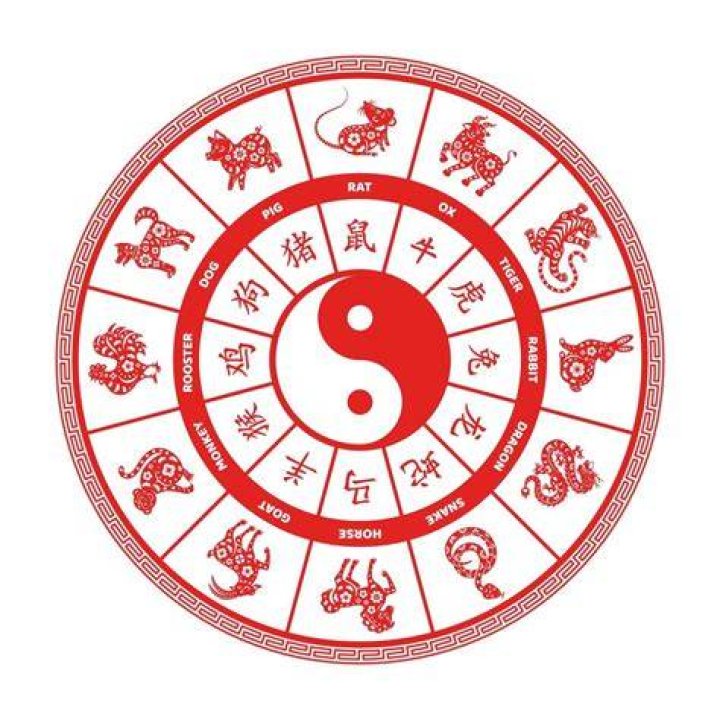 Discover the Mystical Power of the Chinese Zodiac 1991 Element