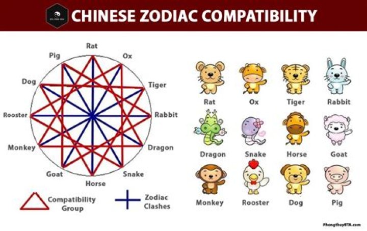 Discover the Secrets of the Chinese Zodiac of 1991: Insights, Compatibility, and More