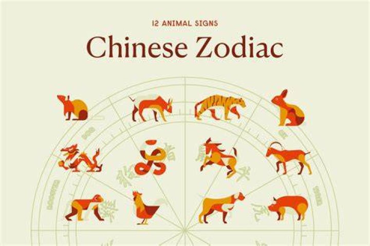 Discover the Secrets of the Chinese Zodiac Sign for 1991: Insights and Predictions