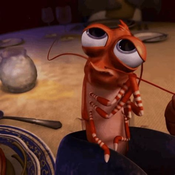 Discover the World of Animated Shrimp GIFs: A Trending Visual Phenomenon