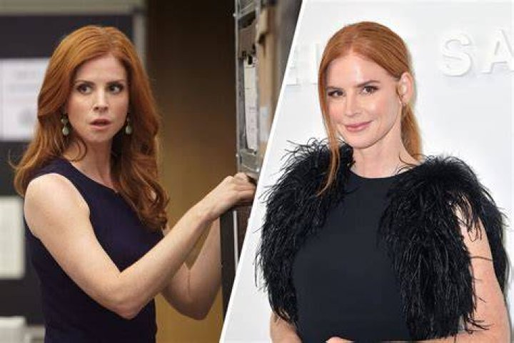 Donna Paulsen: Who is This Influential Figure?