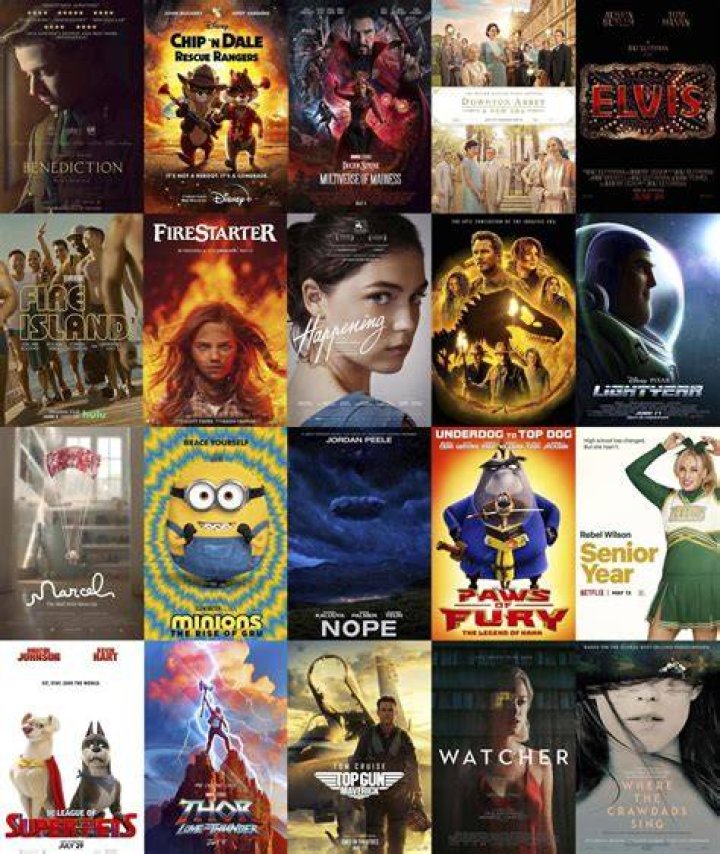 Dua Lipa Movies: Upcoming & Past Films