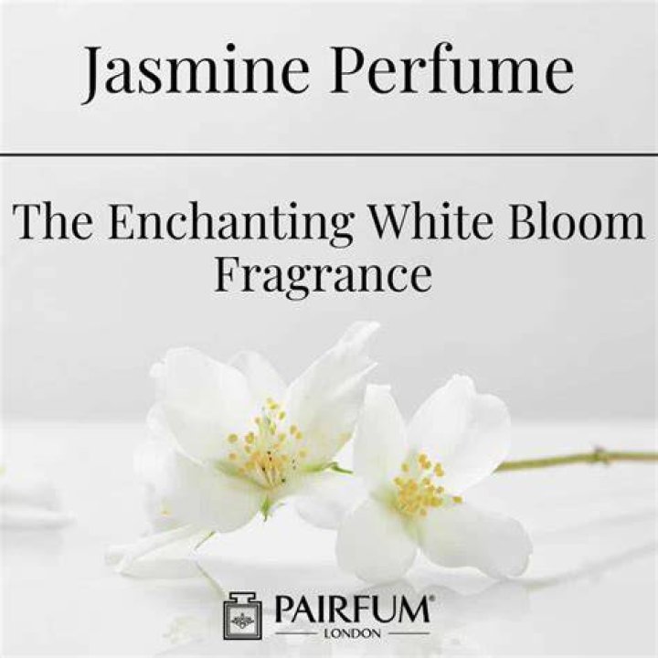 Enchanting Jasmine Sherni & Fae Love Story!