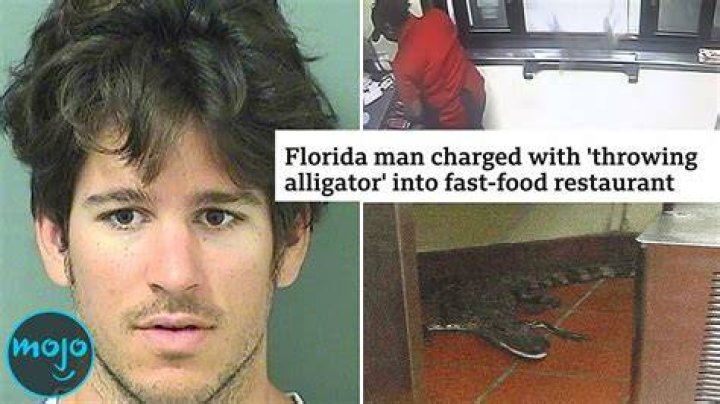 Florida Man November 24: Unraveling the Day's Most Shocking Stories