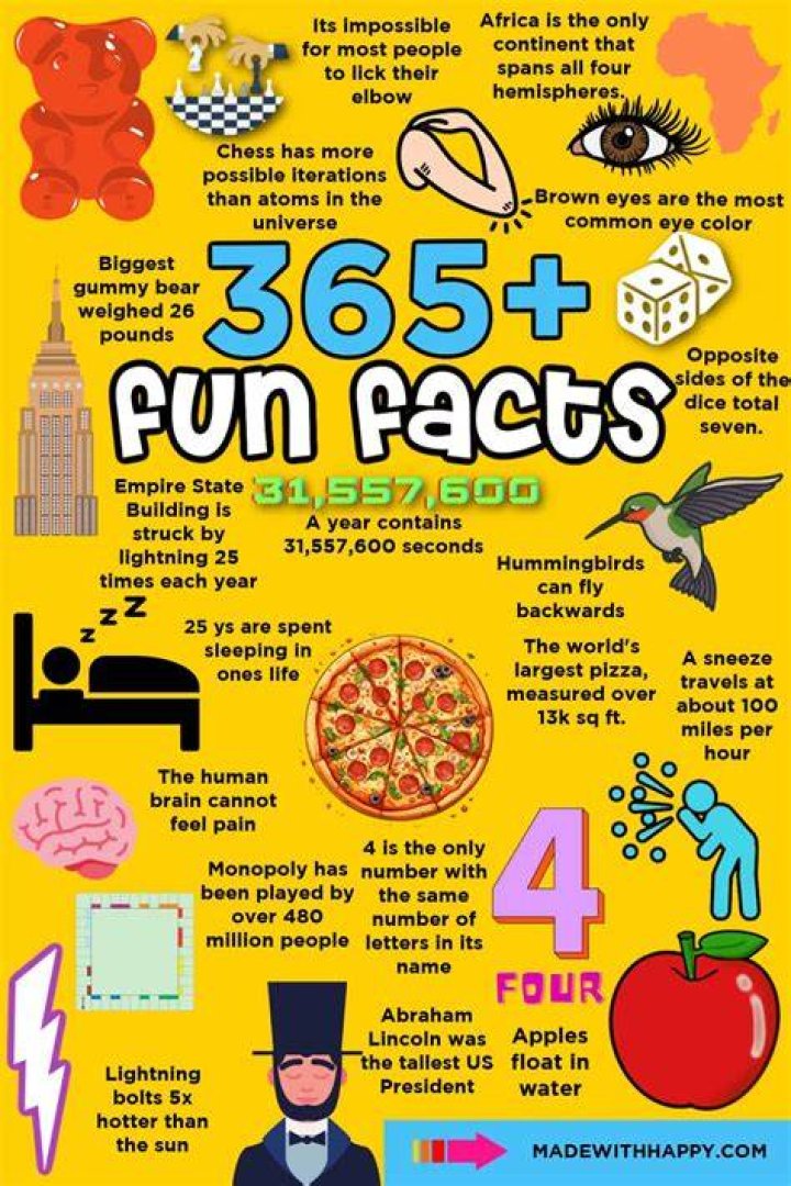 Fun Facts &amp; Trends: Fik Fip!