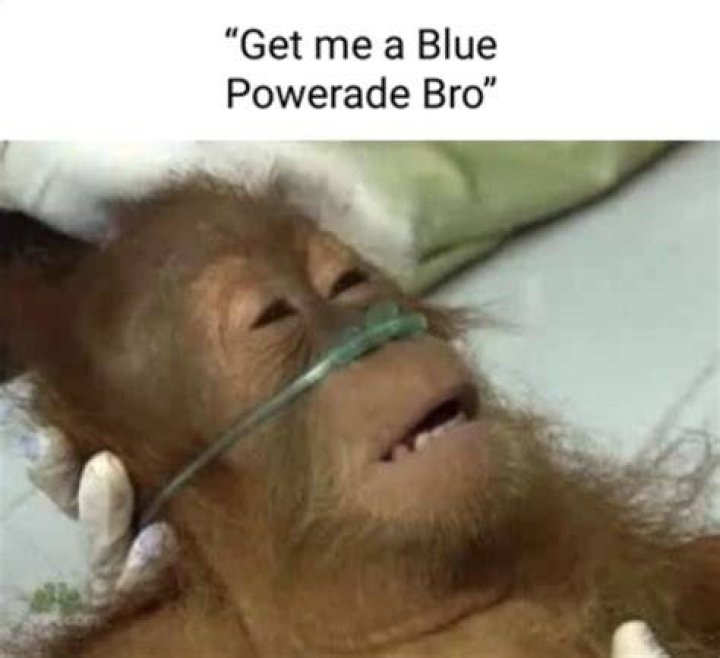 Get Me a Blue Powerade Bro: A Comprehensive Guide to Understanding the Craze