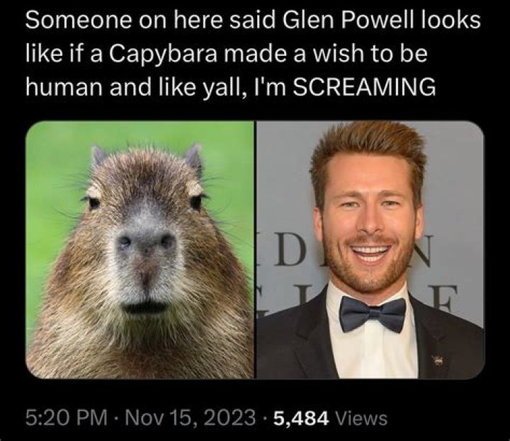 Glenn Powell Capybara: A Fascinating Exploration of the Connection Between Hollywood Star and Nature's Gentle Giant
