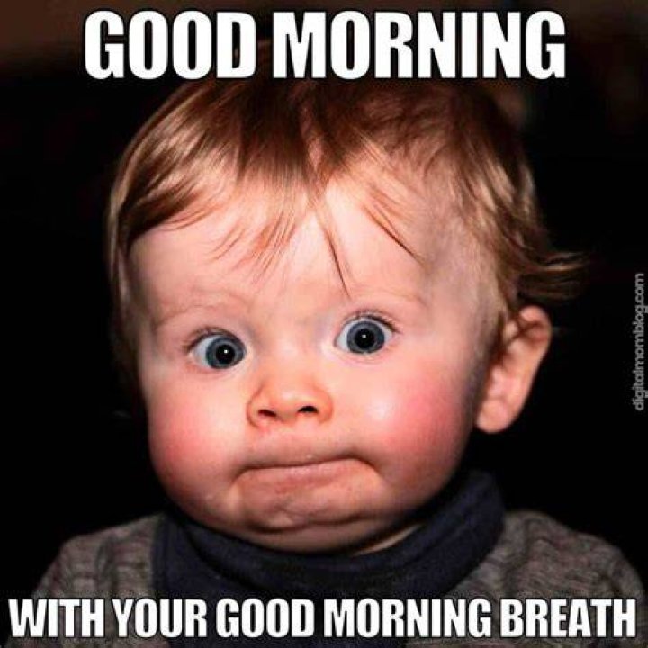 Good Morning Memes for Him: Hilarious & Cute!