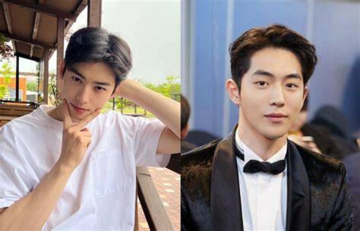 Is Cha Eun Woo Engaged? Unveiling the Truth Behind the Rumors