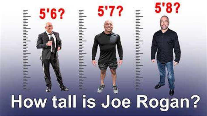 Joe Rogan Height: The Real Story Behind the Iconic Podcast Host