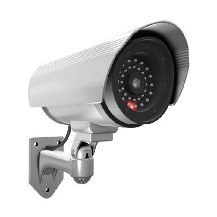 Kid and His Mom CCTV Video Original Free: A Detailed and Insightful Analysis