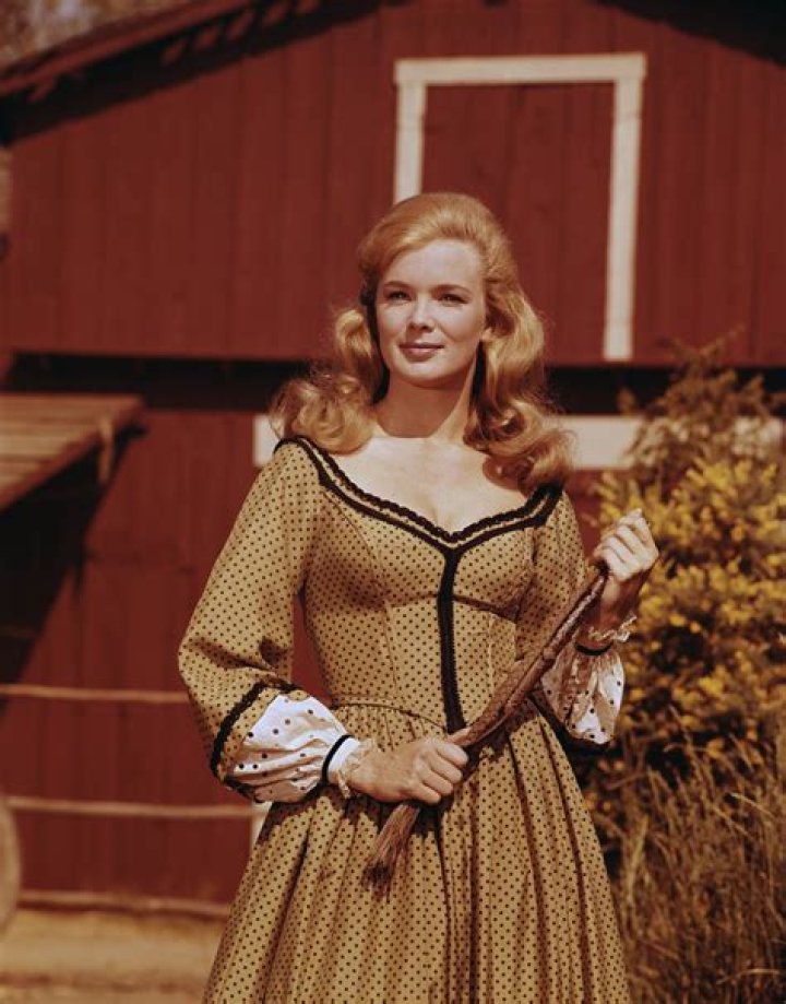 Linda Evans: The Iconic Journey of a Beloved Television Star