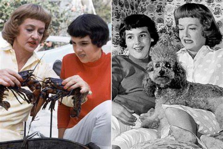 Margot Merrill: Unveiling the Rising Star of Hollywood