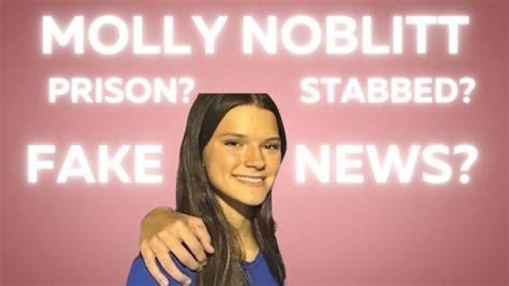 Molly Noblitt Court Case: A Deep Dive into One of the Most Controversial Legal Battles