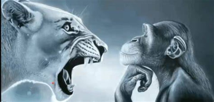 Monkey and Tiger Yelling: Understanding the Fascinating Behavior and its Implications