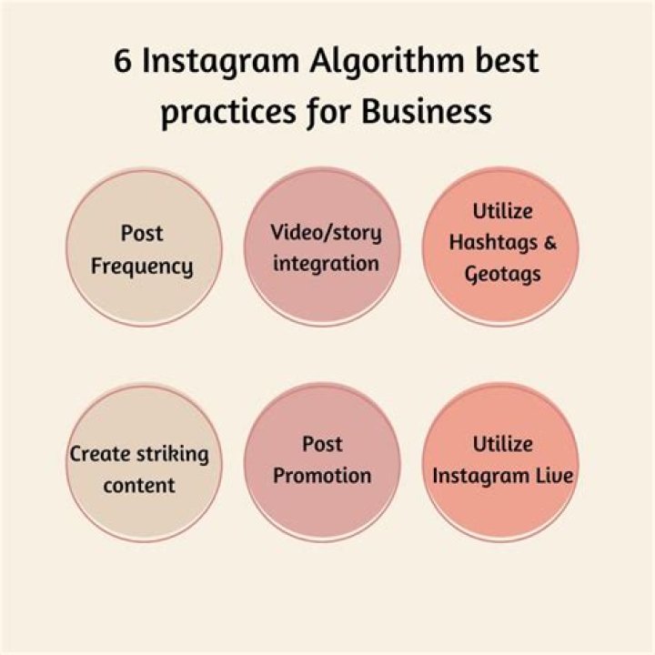 OMS Meaning in Instagram: Understanding the Trend and Its Impact