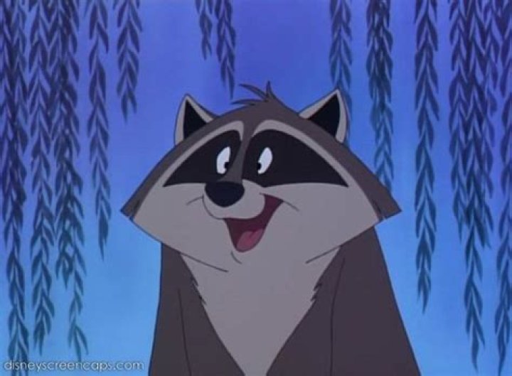 Pocahontas Disney Raccoon: Exploring the Enchanting Sidekick