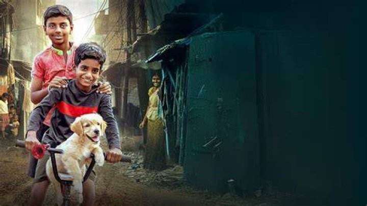 Puppy Kannada Movie Download Movierulz: A Comprehensive Guide