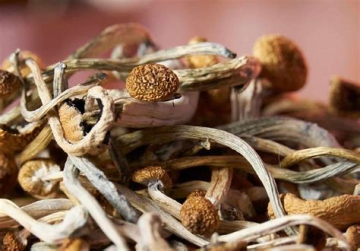 Shrooms Q Real Name: Unveiling the Mystery