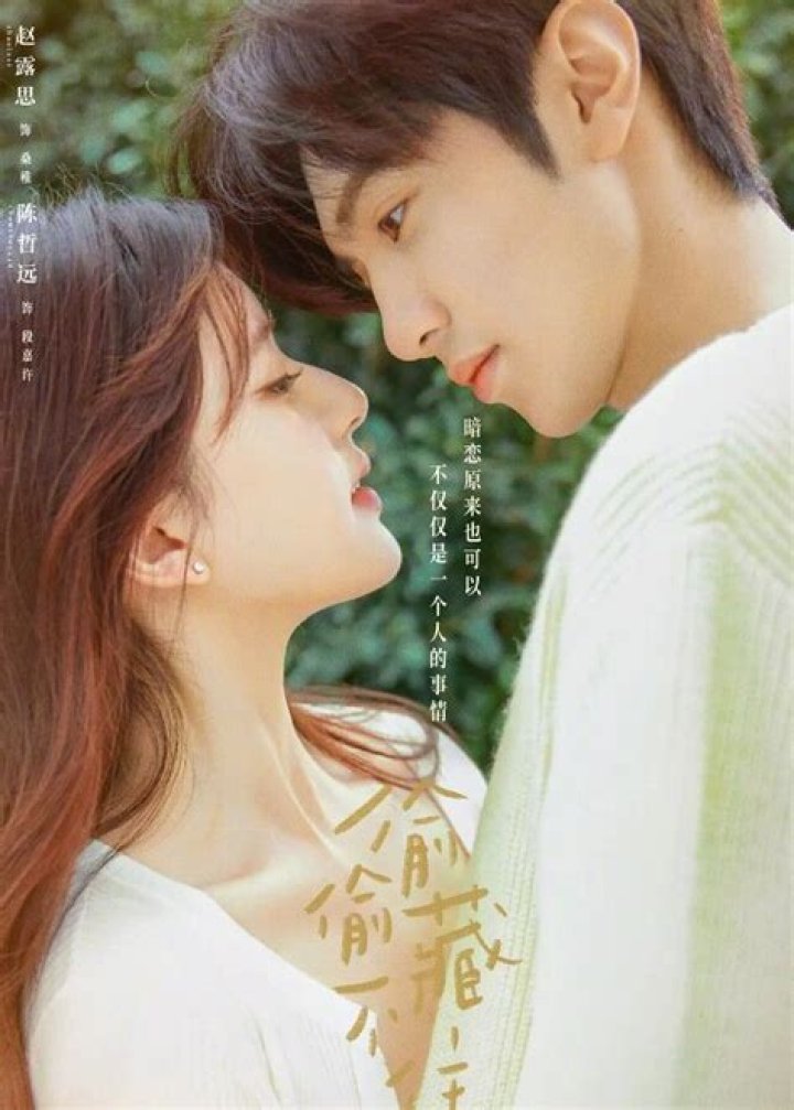 The Betrayal of Love: A Captivating Chinese Drama