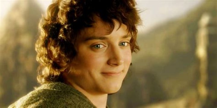 The Lord of the Rings: Frodo Actor - Who Played Him?