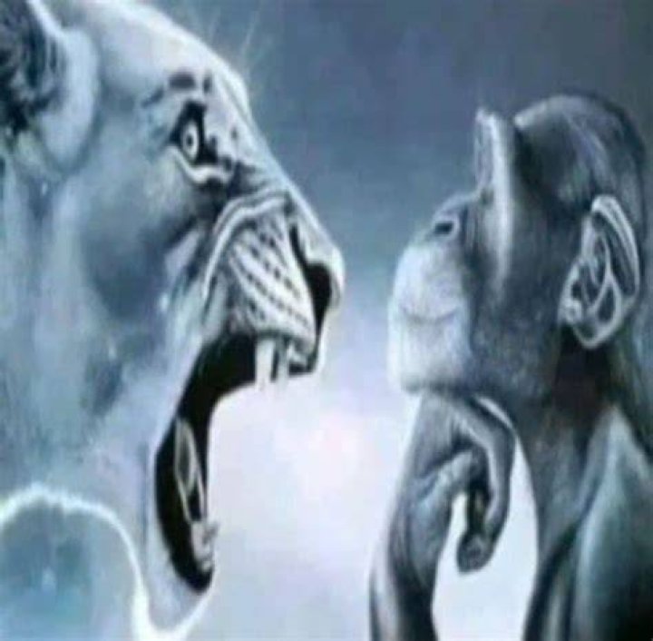 Tiger Screaming Monkey: The Unique Phenomenon Explained