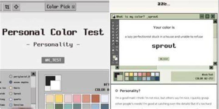 TikTok Color Personality Test: Unveiling the Secrets Behind the Viral Sensation