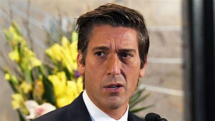 Tragic David Muir Accident - What Happened?