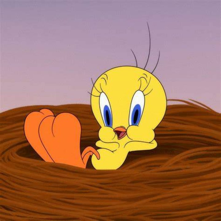 Tweety_Lau: The Rising Star in the Digital World