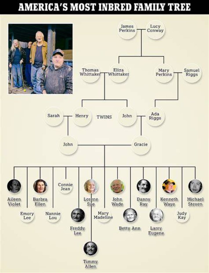 Uncovering the Whitaker Family Tree: Generations Revealed