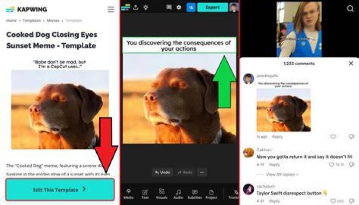 Understanding the Consequences of Hiding Comments on Instagram