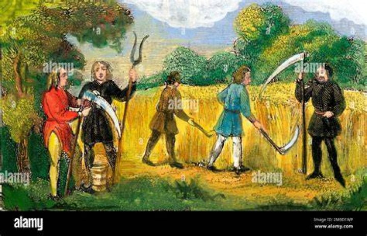 Understanding the Peasant Phenotype: A Comprehensive Guide