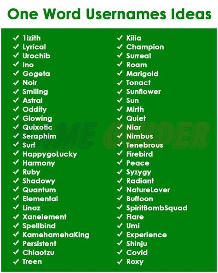Unique and Creative Cool One Word Usernames: A Comprehensive Guide