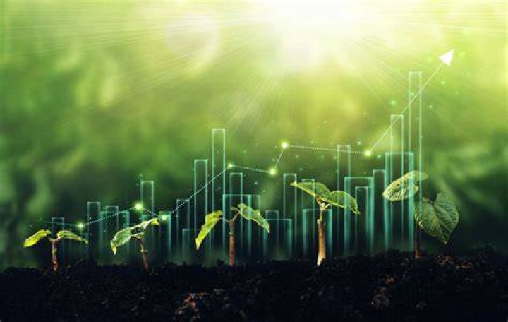 Unlocking the Potential of Lessinvest.com: A Comprehensive Guide to Investment Simplified