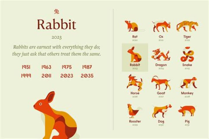 Unveiling the Enigma: Red Rabbit Meaning in Various Contexts