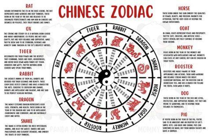 Unveiling the Mysteries of the 1991 Asian Zodiac: A Complete Guide