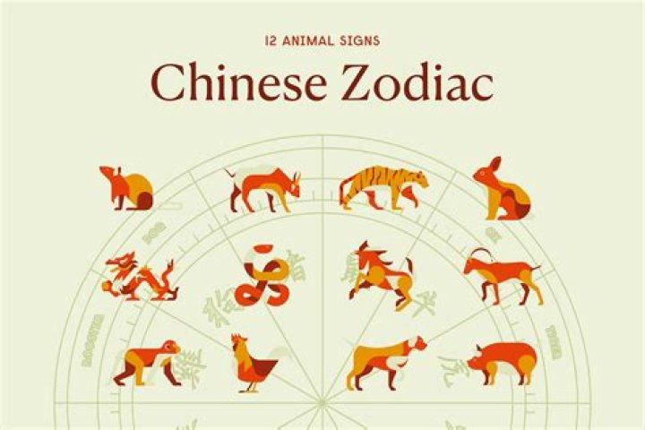Unveiling the Mysteries of the Chinese Sign 1991: A Comprehensive Guide