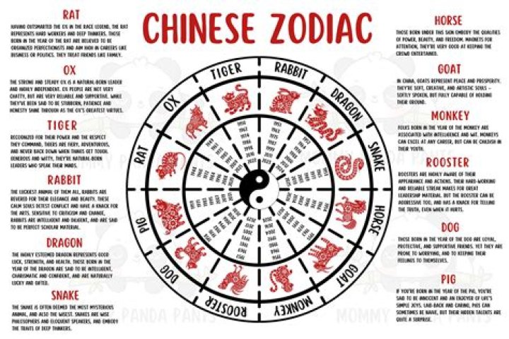Unveiling the Mysteries of the May 1991 Chinese Zodiac: Insights and Predictions