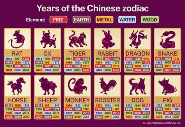 Unveiling the Secrets of 1991 Year of the Chinese Zodiac Compatibility: A Complete Guide