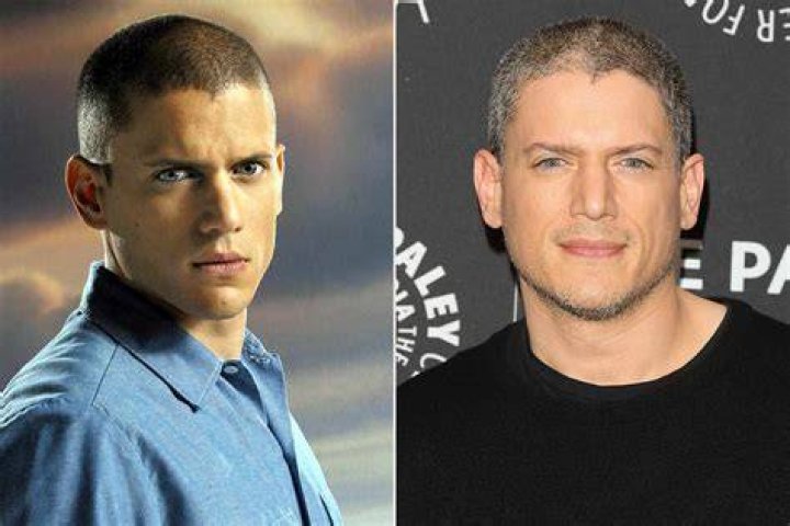 Wentworth Miller Wife Pictures: Stunning Photos & Pics