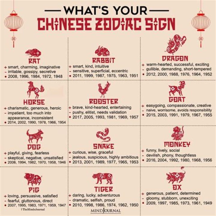 What Chinese Sign is 1991? Discover Your Zodiac Insights
