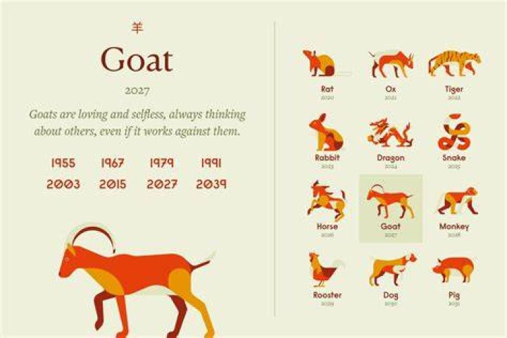 What Chinese Zodiac Year is 1991? Discover the Mystical Goat